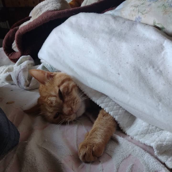 2d7f898e 88bb 4202 8952 a791de153d3a 1765429374885