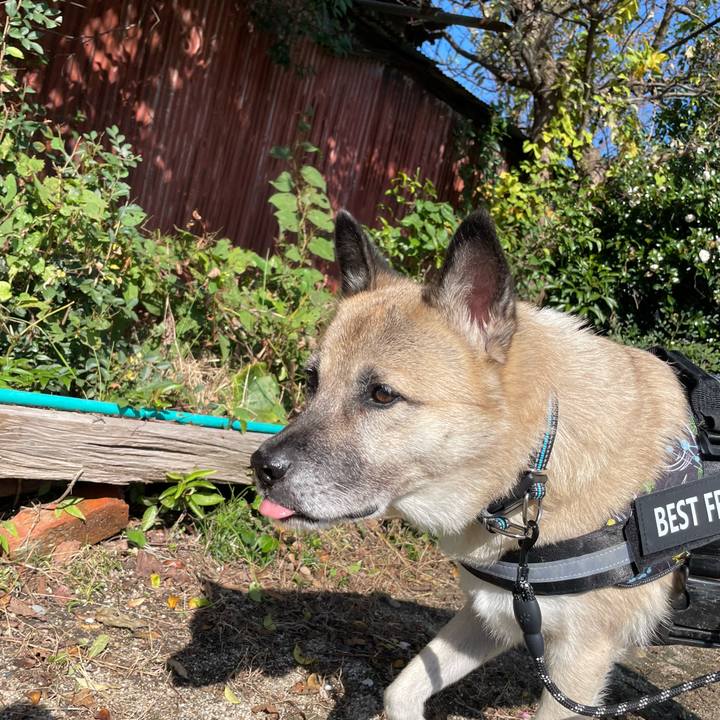 2d7fca4f b9eb 45c2 96a5 d4bab38ba15e 1730628074259