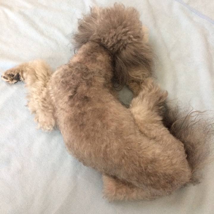 2d7fd273 2302 464f b8db a8be45bcc201 1510357228363