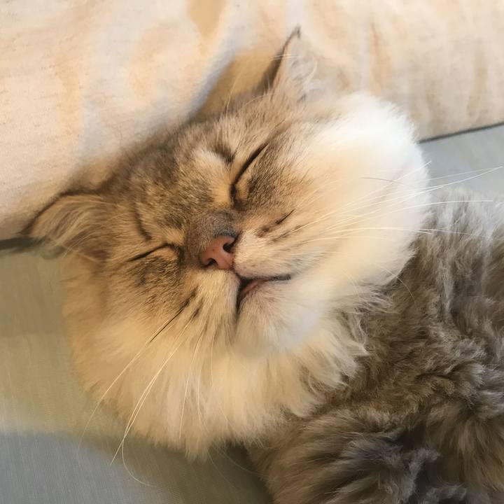 2d7fe1c1 1fbd 400b 91db b033f9768bba 1600685562089