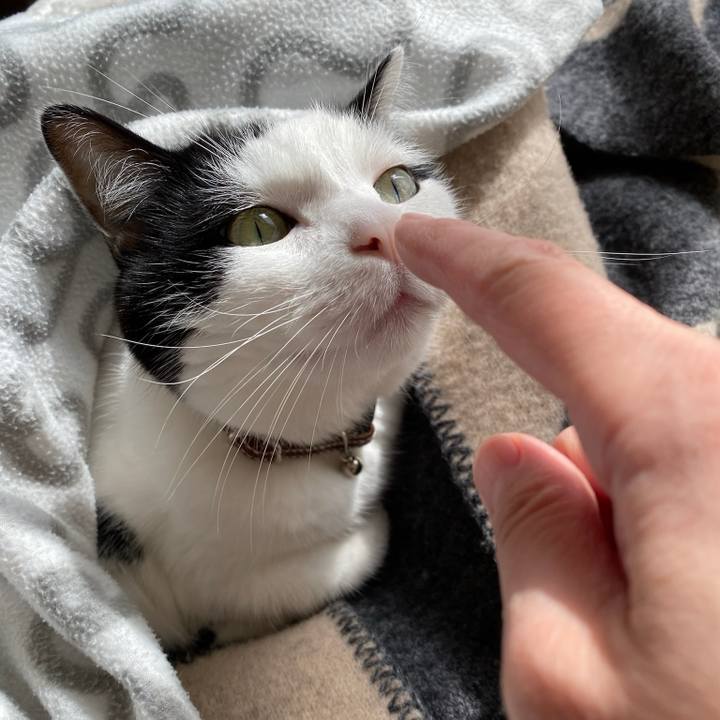 2d7fe1c7 9468 47bc 8543 9b153ebf951c 1761349247835