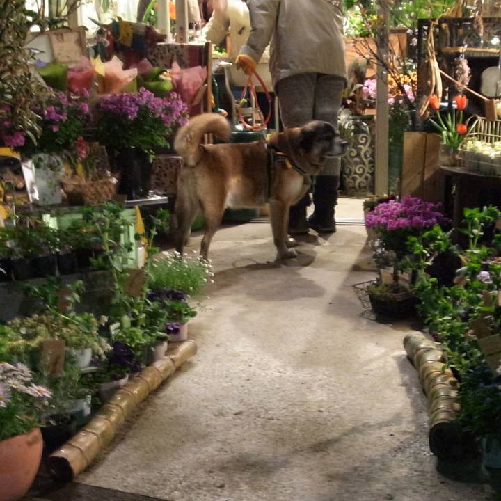 2d7fe50e 6d71 4edb 9af9 d1284bb6f571 1601769283205