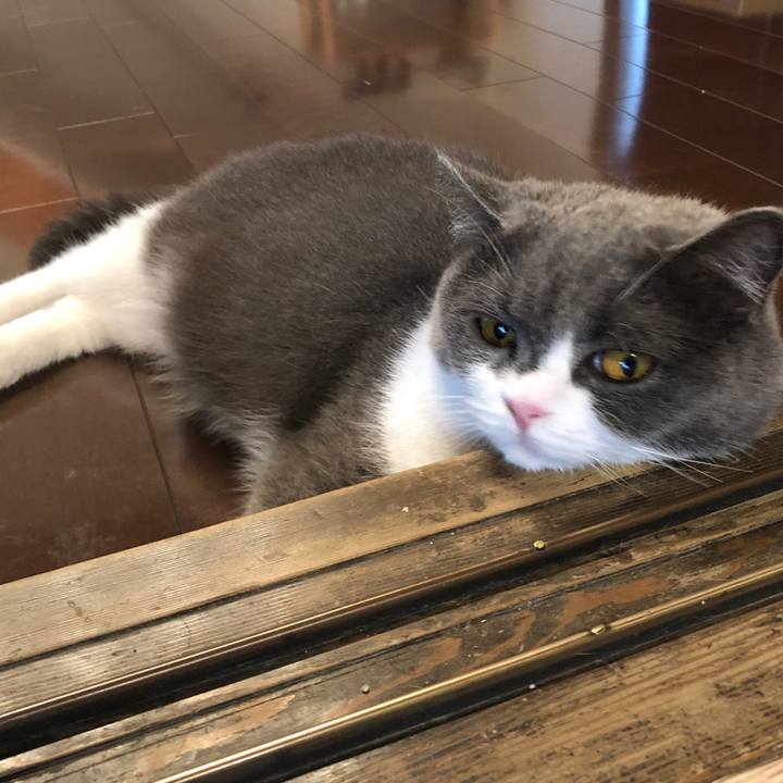 2d80884e b80a 4e8d 8c81 22bacfaa5970 1562115527580