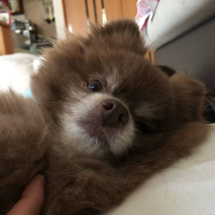 2d80a4a8 2fc4 46fc b9b0 62de6c9cdfc6 1558039429909