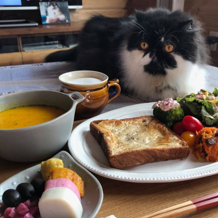 2d812b5e 334b 44cc 9469 681a1b7d3a24 1546479144274