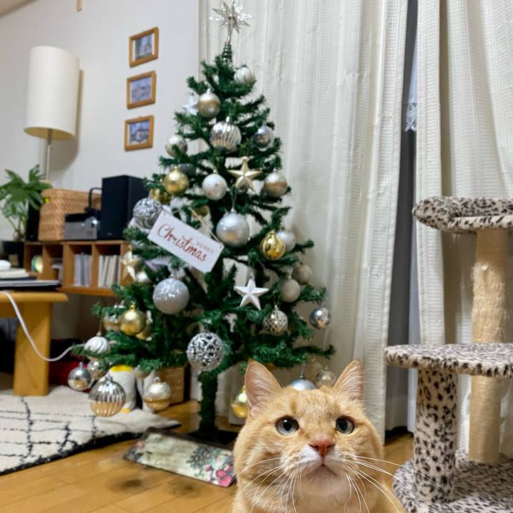 2d813212 5262 4926 8f21 c73ff0685e94 1669850672015