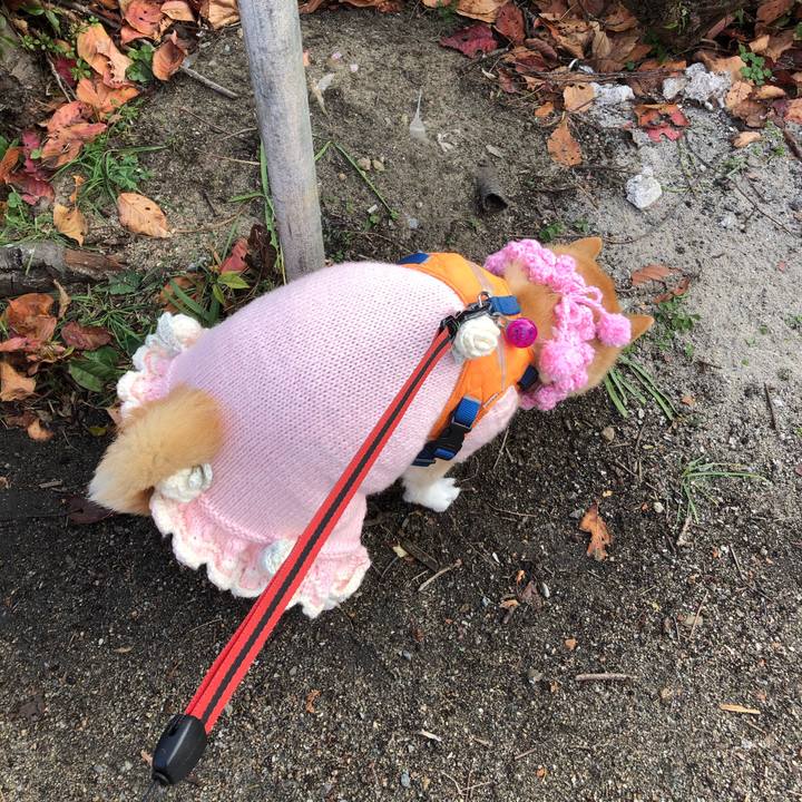 2d814298 a256 4872 9a6d 23c1a76a7479 1608459713629