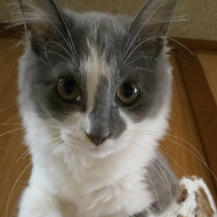 2d8145ae 9a86 45ec 9ed6 991cac98c9ae 1566113377498