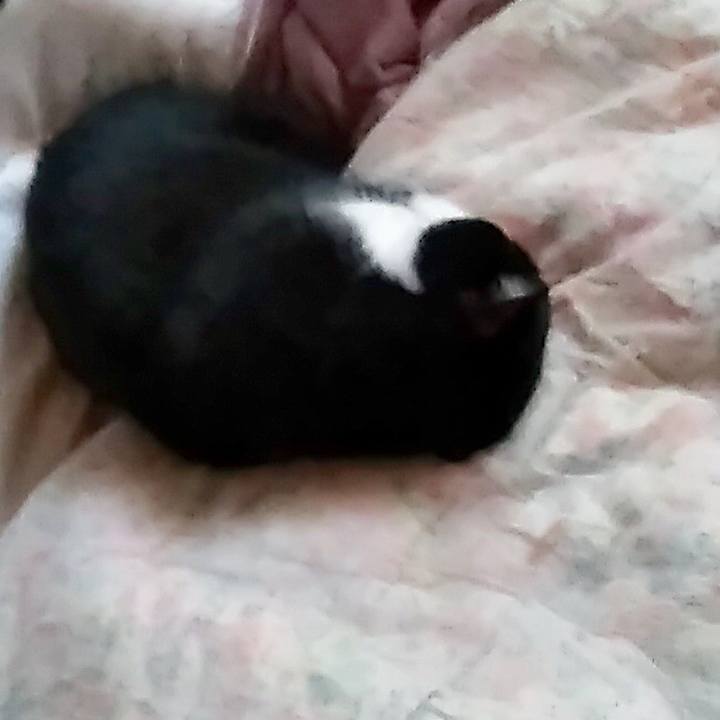 2d817b2b 8628 4017 b435 7b4db71557bc 1580918607210