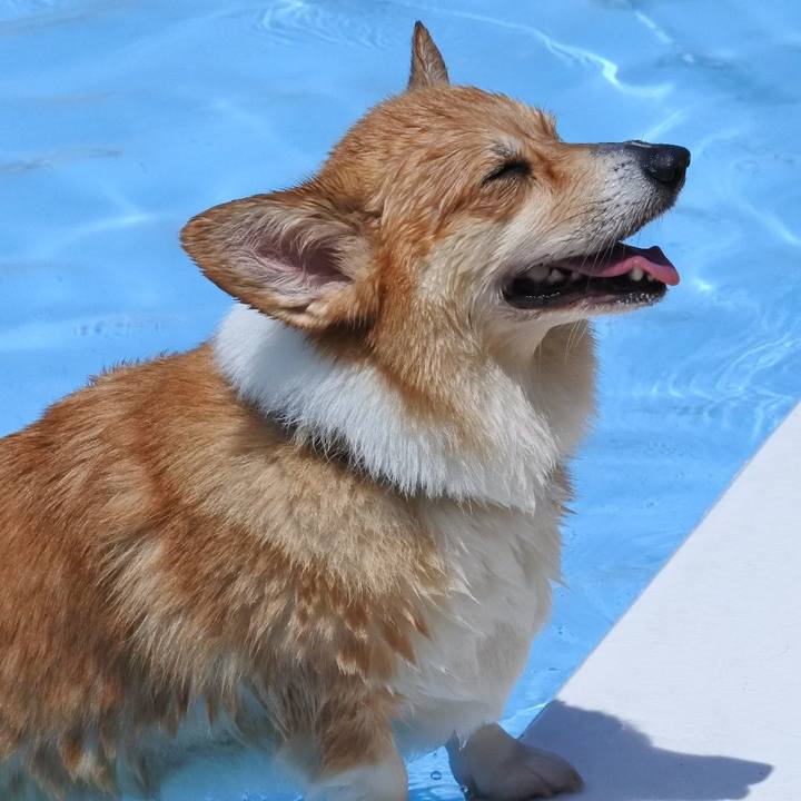 2d81ddc7 b7c5 47b0 89d7 5d4add28aa04 1595496851859