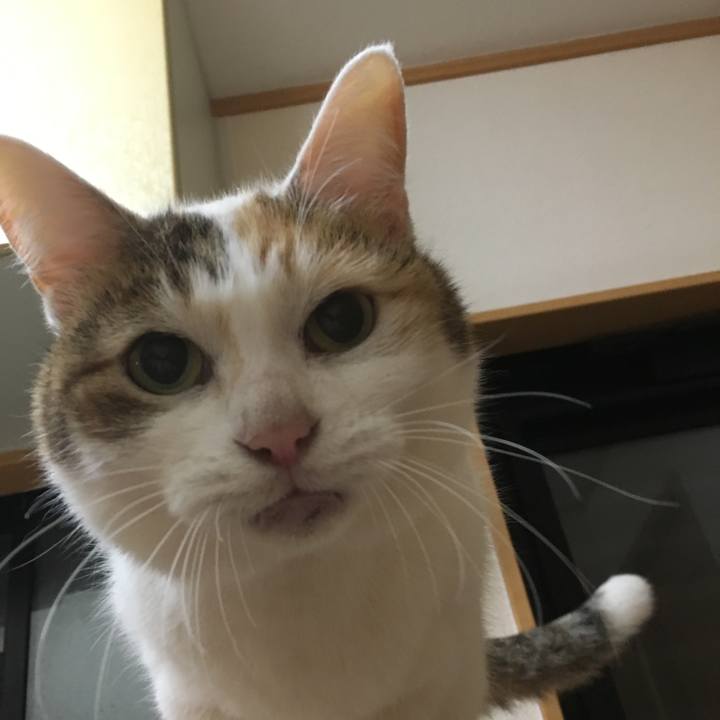 2d81fb69 cda0 4ebc be1d 05d526da8770 1518689862818