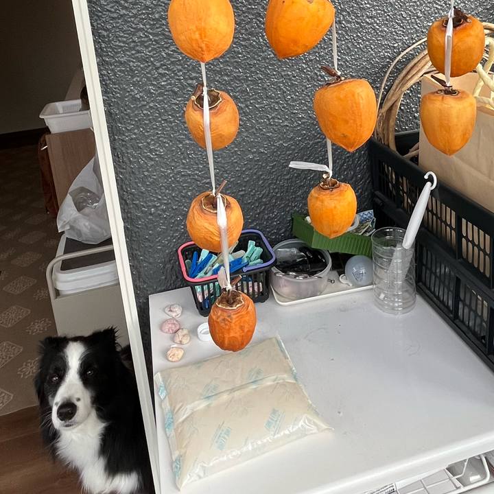 2d81fe41 76f8 4594 b02d 4fbd81e99dad 1761348526500