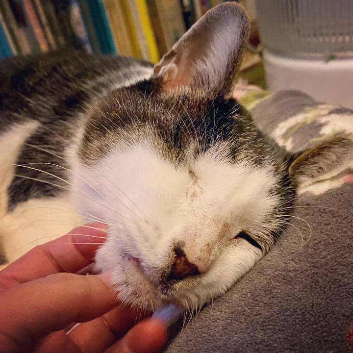 2d82140b 90c8 4087 af08 085f433c53f5 1608991898928