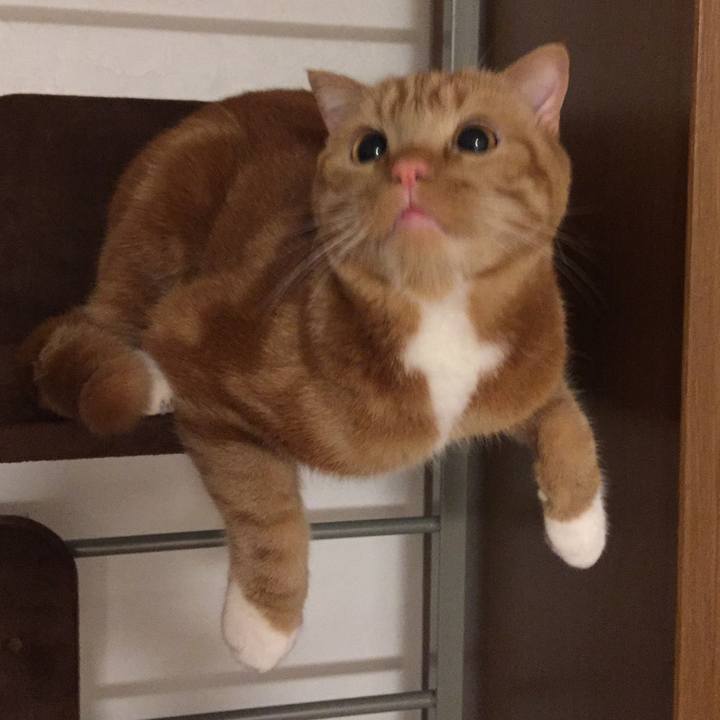 2d8242bc 1896 433e b2eb e68f057d5e9e 1525137041827