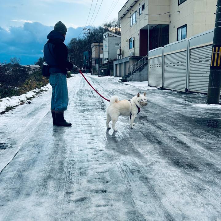 2d8277a2 fb2b 4043 9ccc 5eda52ad3e62 1765061859669