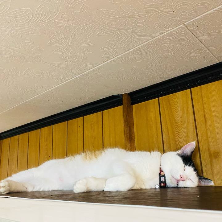 2d82a307 ffeb 4699 861c 38307d060f92 1661118314047