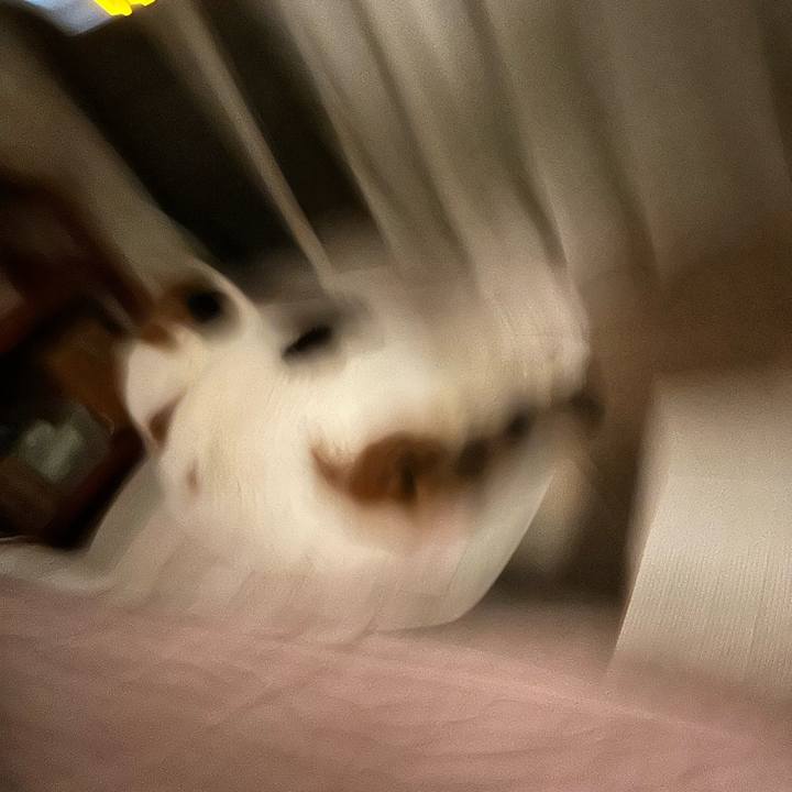 2d82aede 21e9 43ee ac5c e229d545d808 1724065702279