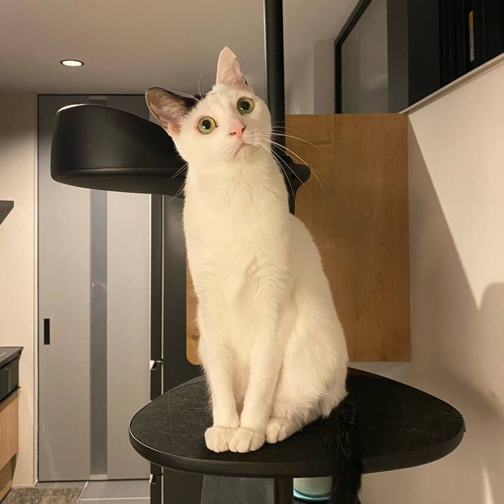 2d82b6cb 883d 44c6 a2f2 bc0bc742bab5 1744979031763