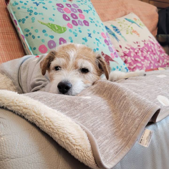 2d82edf0 58fd 41a6 973e cc3aa114bac6 1774354851322