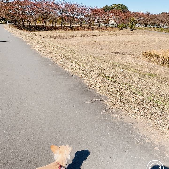 2d8330b5 5346 4342 a30c 03b3eb71f10a 1604983972712