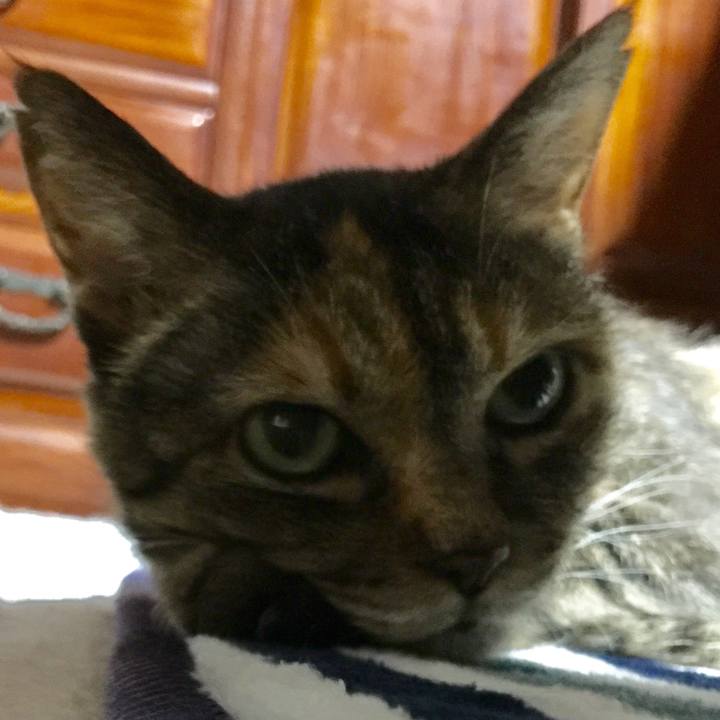 2d833630 4950 4fe8 8fbe 2f3db14c7c3a 1532950706803