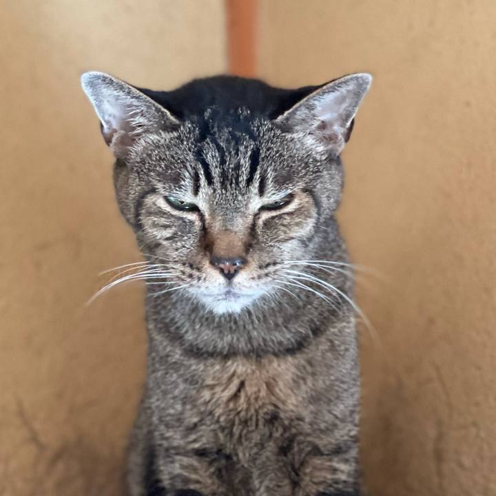 2d834050 0d54 43cf adb7 9474a4e8e48e 1630367038586