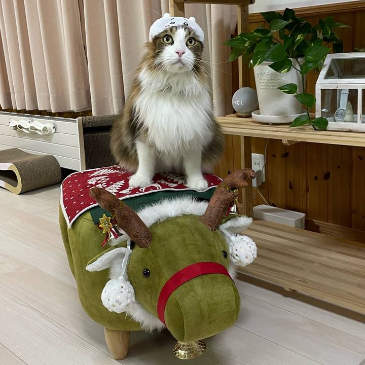 2d83a492 7204 4bc0 926b c969829a2257 1703272338971