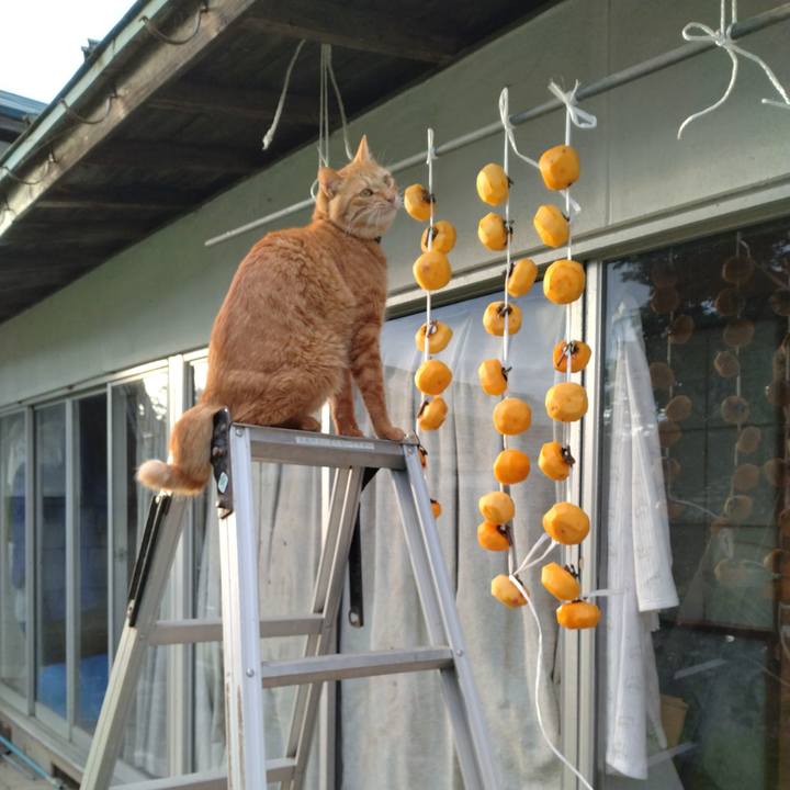 2d83eecf 509e 4de8 89f4 59341d3aada4 1667116078996