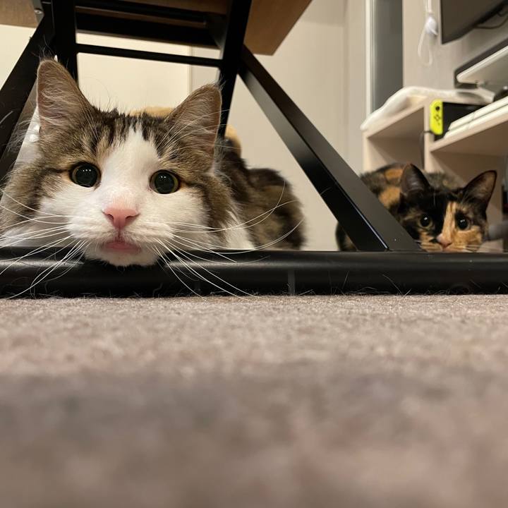 2d846233 fa4e 48b1 a401 afcd76541816 1652963492672