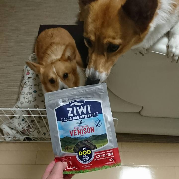 2d84701f c874 4adf a715 ce56521c8450 1546767751891