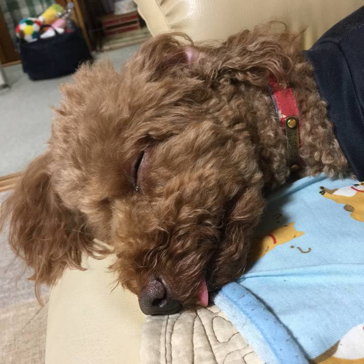 2d847f5a 1670 429d b5d8 185074d0c98f 1530332345471