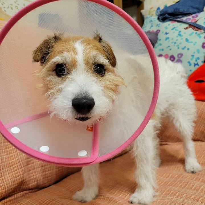 2d849df7 4b4b 4ba4 b43a 8e26194d34b7 1719390750455