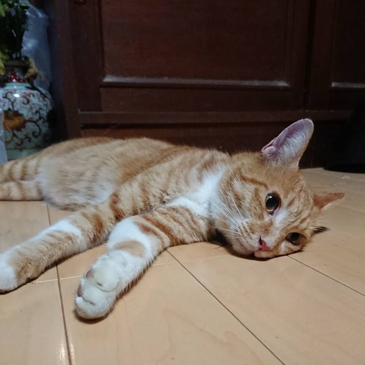 2d84a496 a7e0 4549 833b d500e6a46bd0 1599479874364