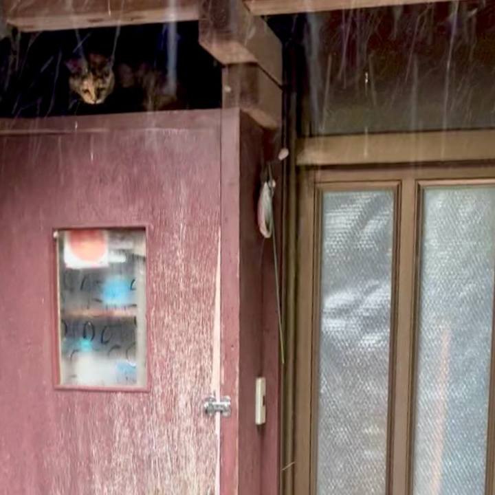 2d84c624 eb5b 4f95 b38f 13ccbfe7d81a 1749868638650