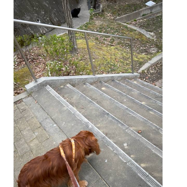 2d85016e 91fc 4a98 ae32 99f3c134db9d 1710636616555