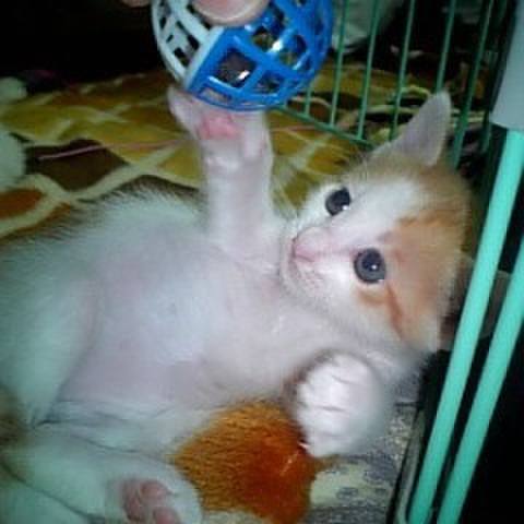 2d852e88 3f7a 43d5 a6ac 26274f13fb50 1680027830991