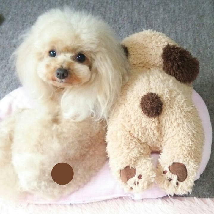 2d855a24 24c0 41ef 9615 d0179785c59e 1560862376165