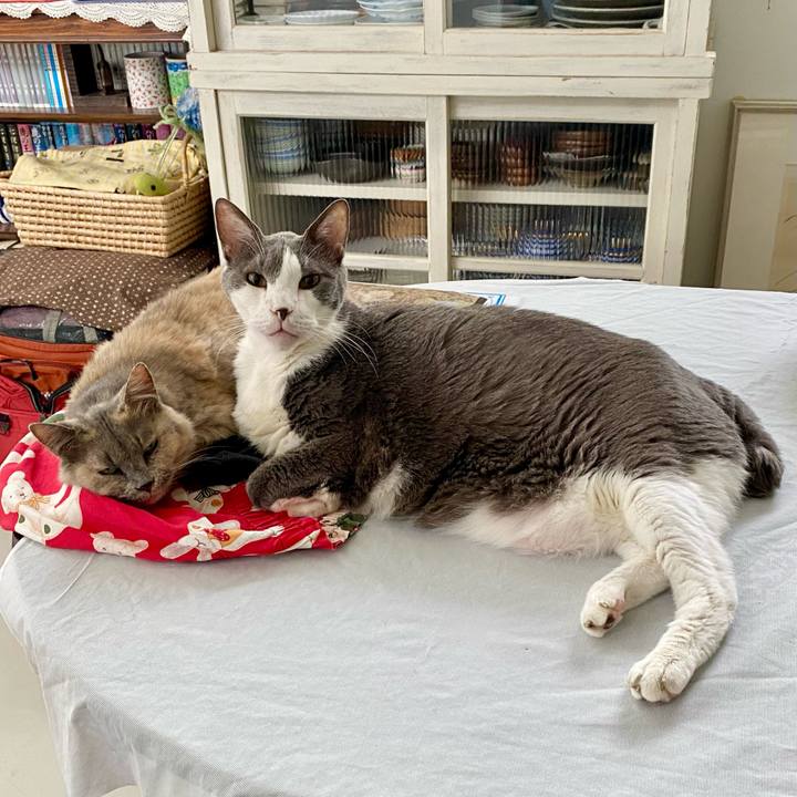 2d856749 630e 4c09 9c6c 6011e1d950e5 1755936808655