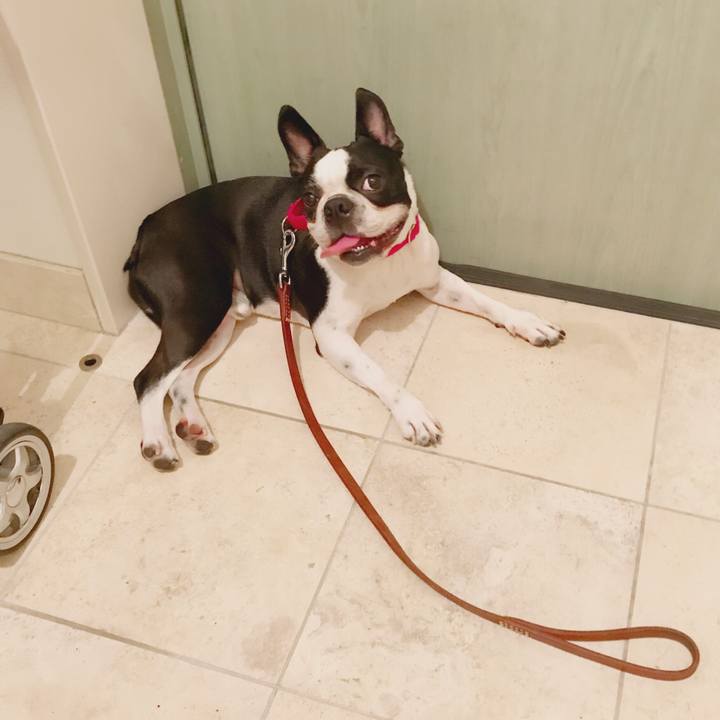 2d859af5 0217 4123 bddd 7bd10f2b202d 1531781303205