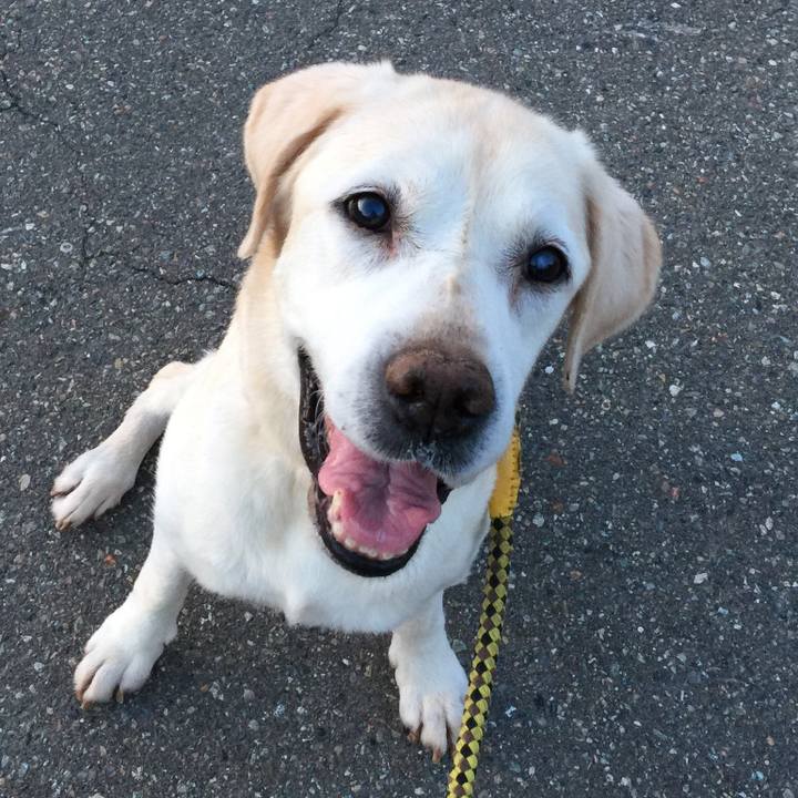 2d85a2d6 796c 4c8a 9431 f827f277456c 1531652101922