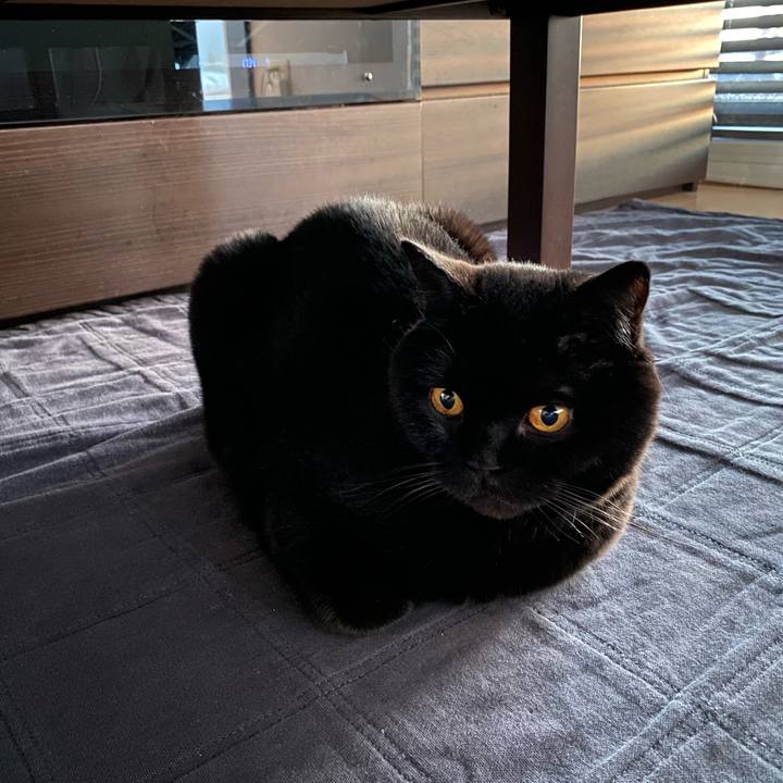 2d85d5e0 4178 4e8c 803b 4a9faddc74a7 1741941397077