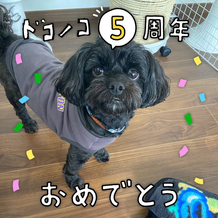 2d85f50e 5302 4e58 b5d1 b6651ee2af34 1622855645319