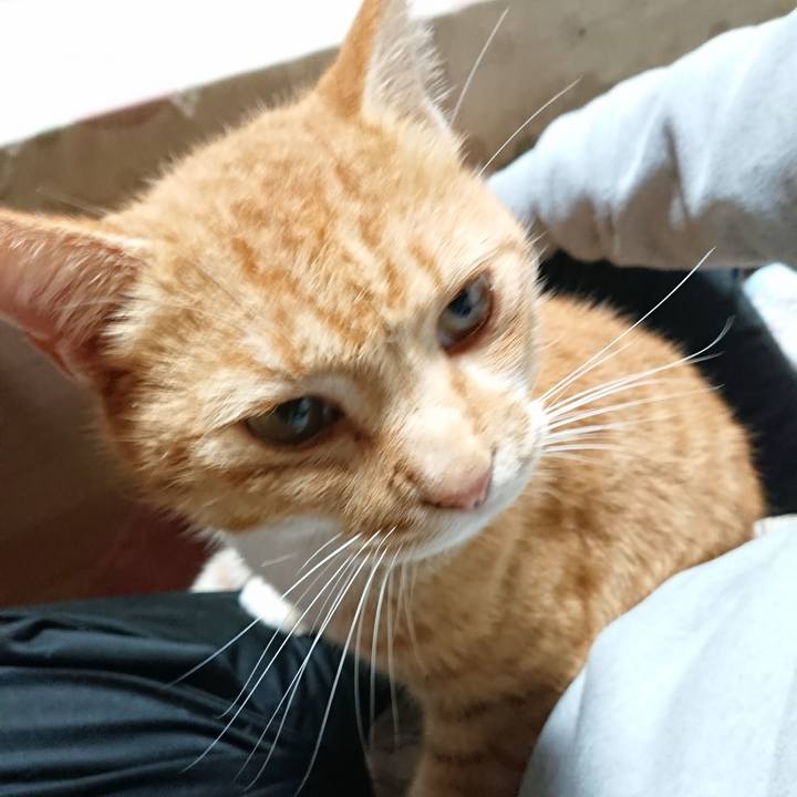 2d864c51 8709 43f2 b87b b407405677a7 1604399426569