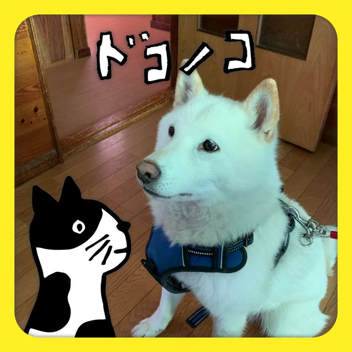 2d868813 0301 4d73 9805 425e421d63a3 1622930029710