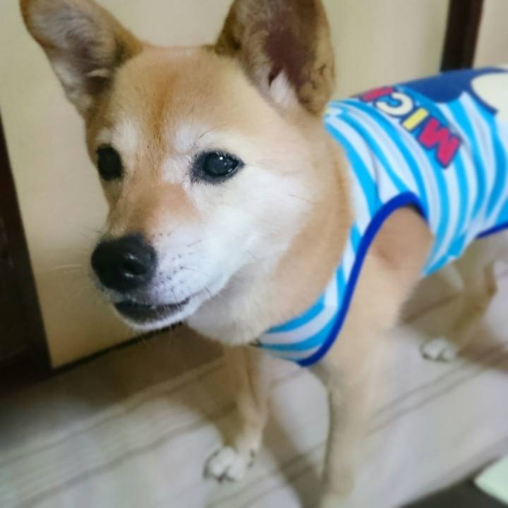 2d8688bb 9184 4a22 b5e4 5618ba46eeec 1536766676370