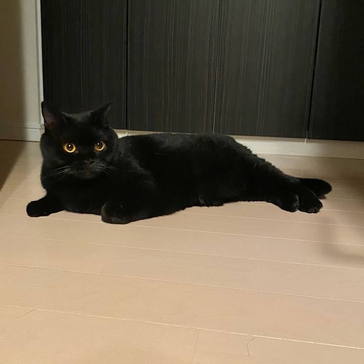 2d86a152 876b 4b08 a7c7 b9b063a7c4c0 1695728456365