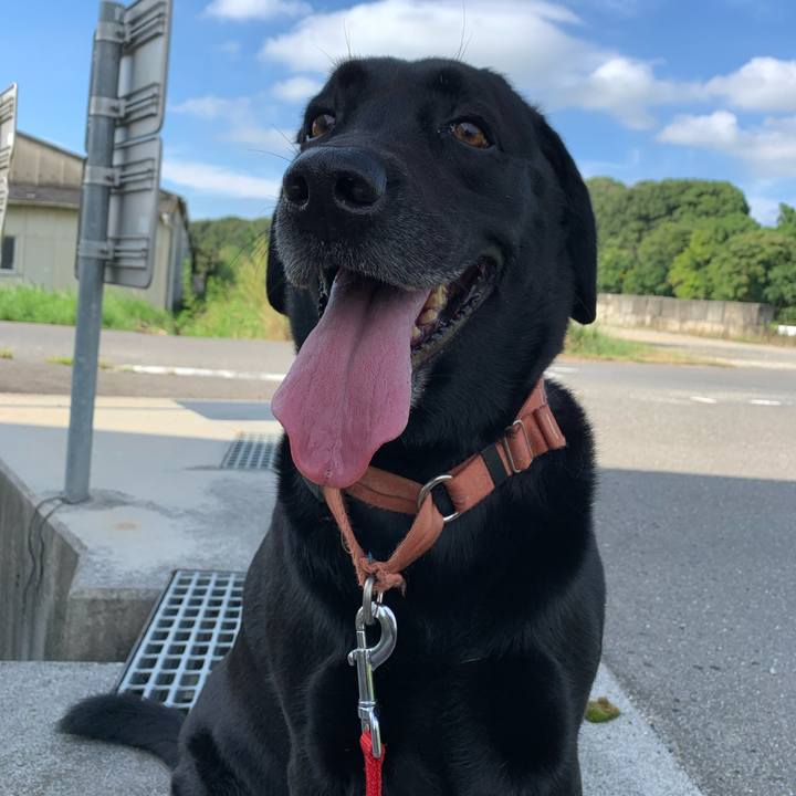 2d86a50d 16f8 4b54 9ce6 7e56c68fce77 1662791200922