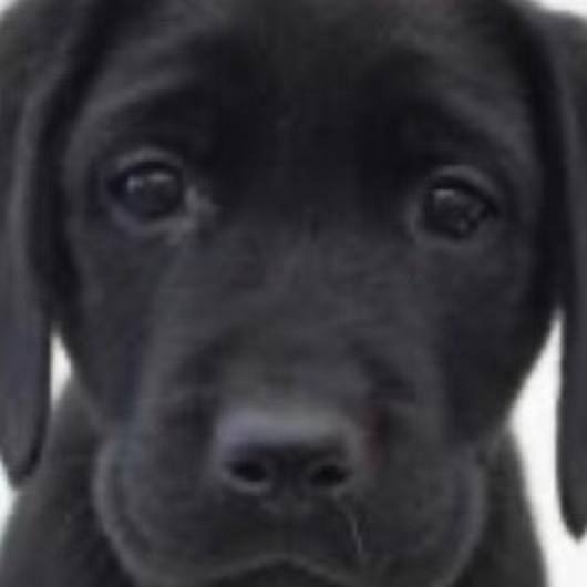 2d86b27b f607 47c3 bad0 7230d315cd37 1583161676429