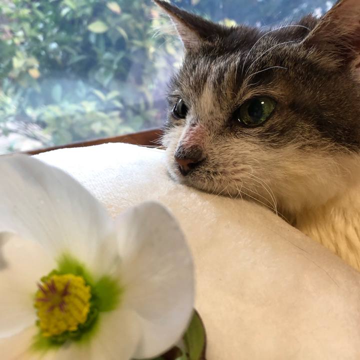 2d86bba0 aaaf 4433 be4b eea513bd4189 1552861916568