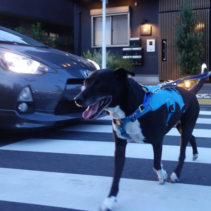 2d86e4fc 1ccd 4d51 931a f8a259d15199 1692616907925